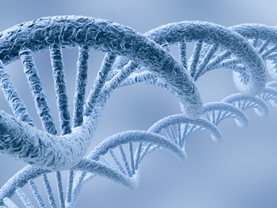 Molecular DNA